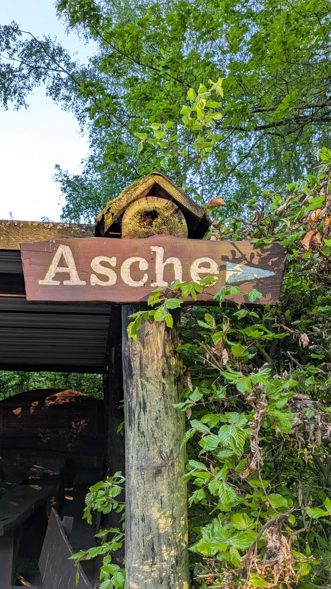 Ascheplatz